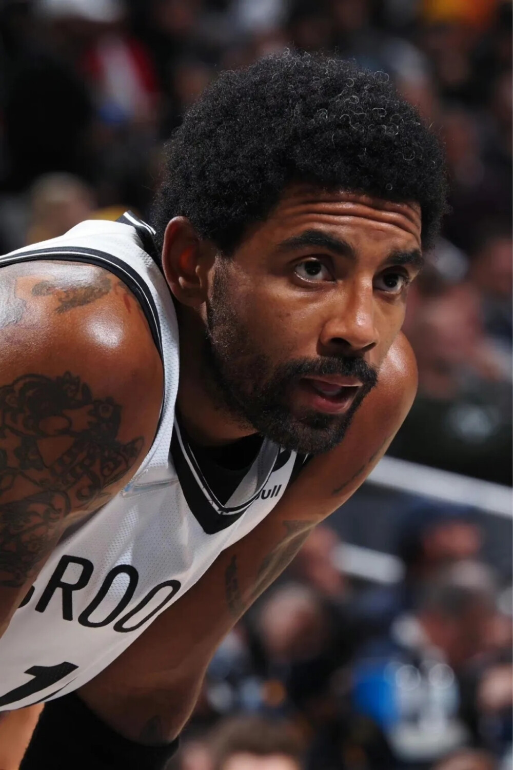 将吸引更多 将吸引更多