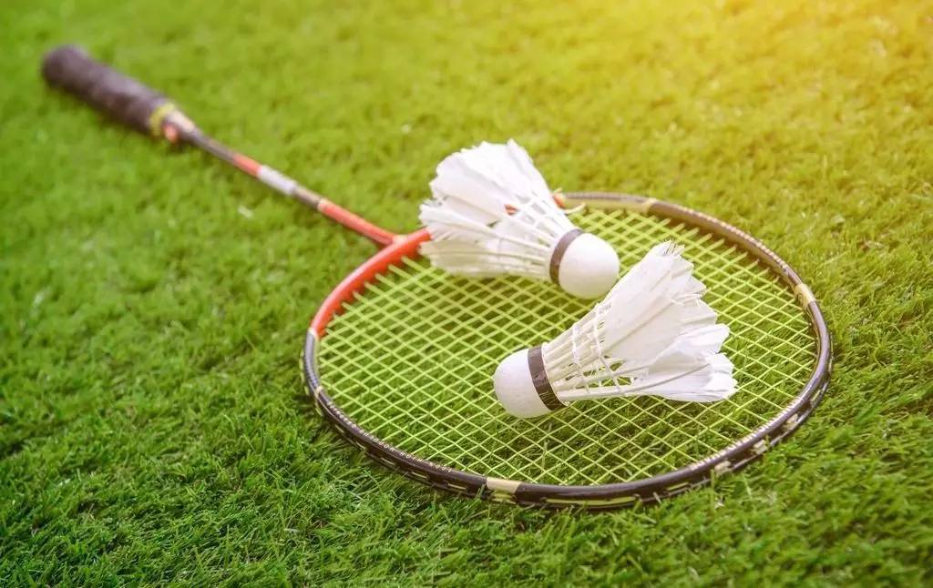 前额叶的理 前额叶的理